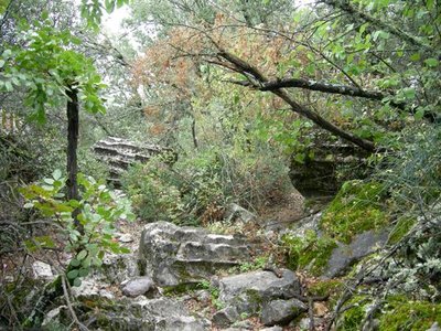 Termessos