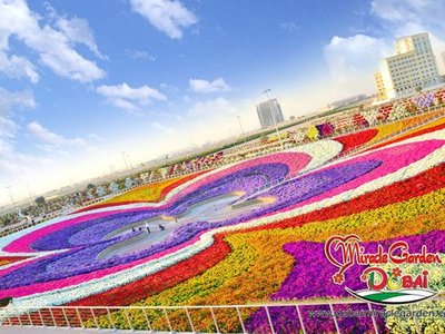 Dubai Miracle Garden