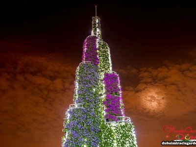 Dubai Miracle Garden