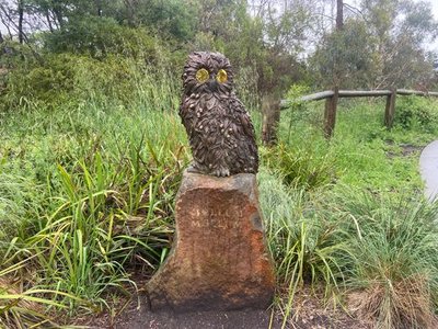 'Mullum Mullum the Owl'