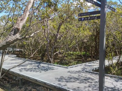 Badu Mangroves