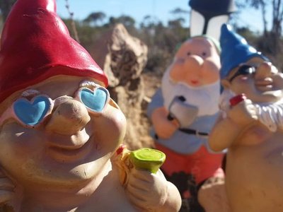 BallaGNOMEia