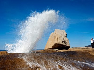 Bicheno Blowhole