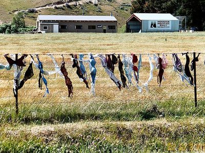 Cardrona Bra Fence