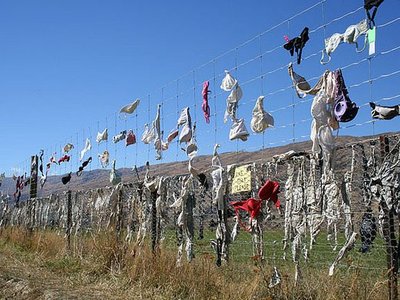 Cardrona Bra Fence