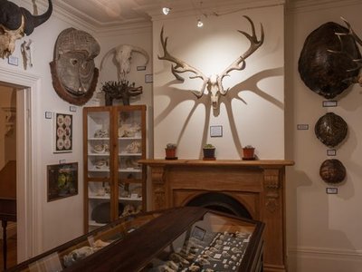 Dunedin Museum of Natural Mystery
