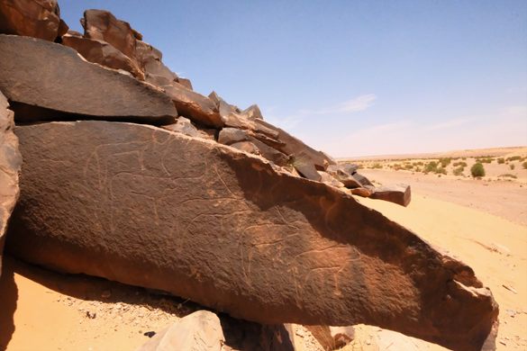 Taghit Petroglyphs
