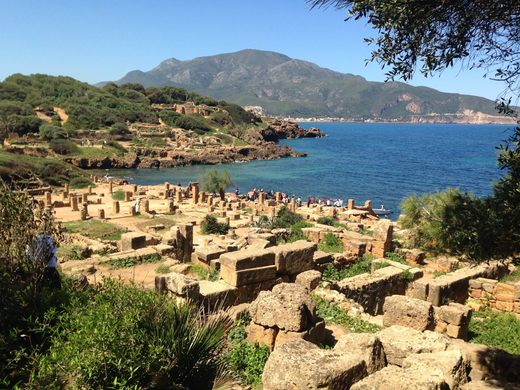 Tipasa Roman Ruins