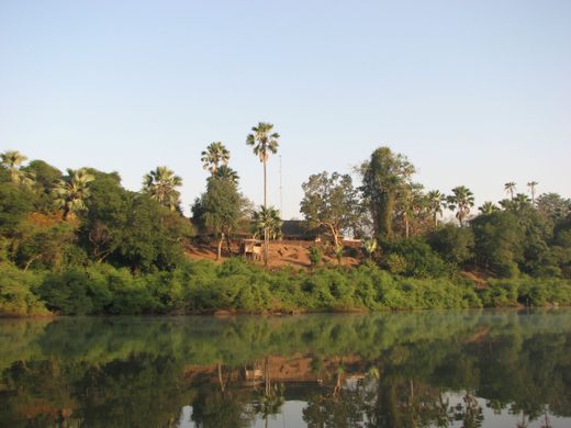 Niokolo Koba Park