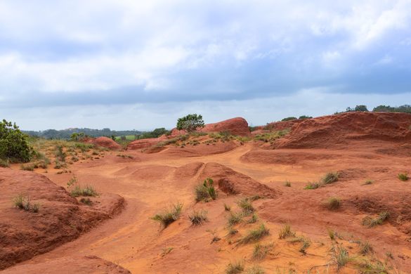Red Desert