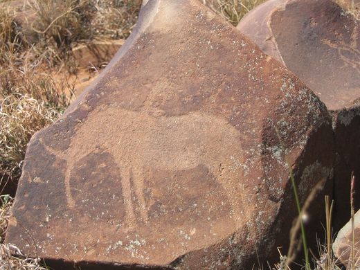 Wildebeest Kuil Rock Art Centre