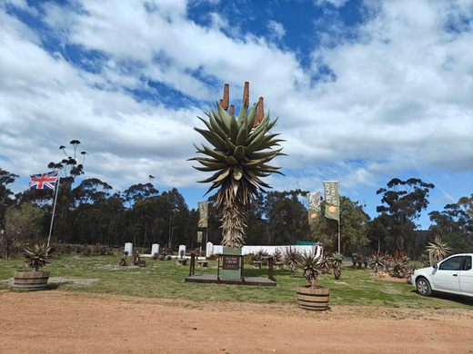 World's Largest Aloe Statue