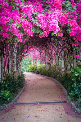 Un Chau Estate Flower Tunnel