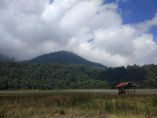 Mount Argopuro
