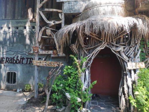 Rabbit Tree Hostel