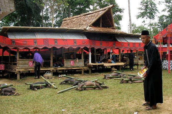 The Funeral Rites of Torajaland