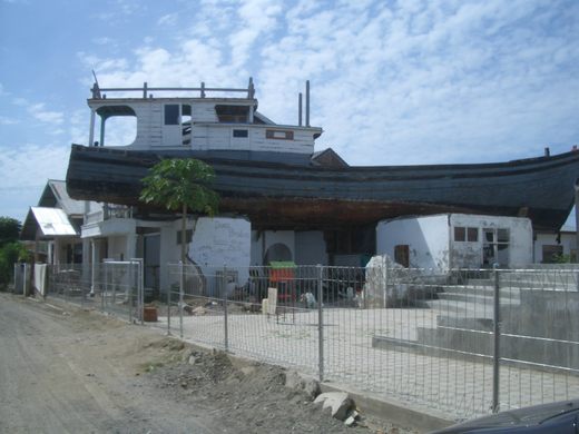 Tsunami 'Noah's Ark'