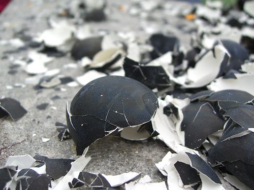 Owakudani Black Eggs