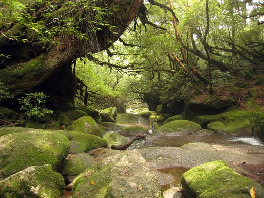 Shiratani Unsuikyo Ravine