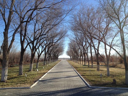 Cosmonaut Grove