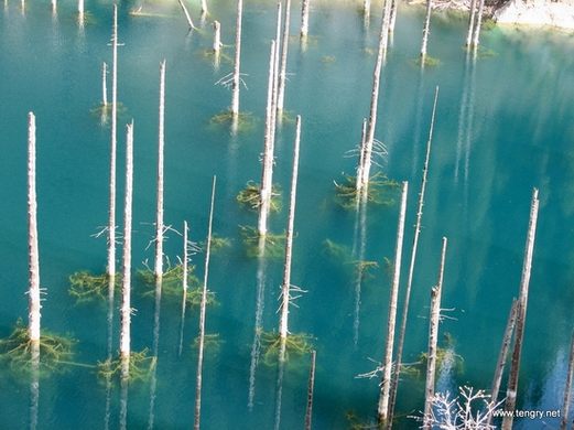 Kaindy Lake