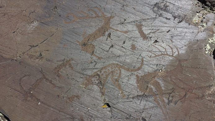 Petroglyphs of Tsagaan Salaa-Baga Oigor