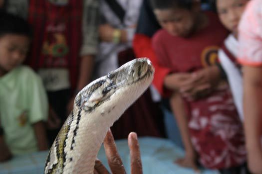Snake Pagoda of Myanmar
