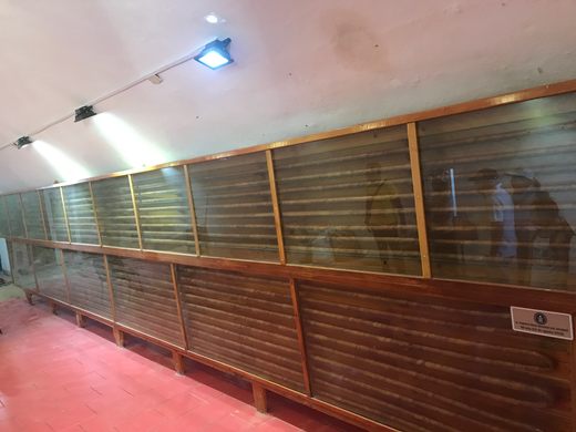 World's Longest Cuban Cigar