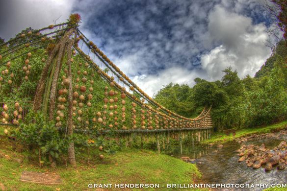 Genius River Bridge