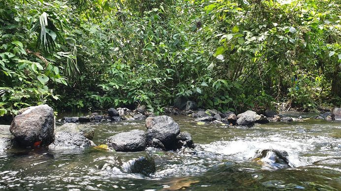 La Fortuna Hot Springs