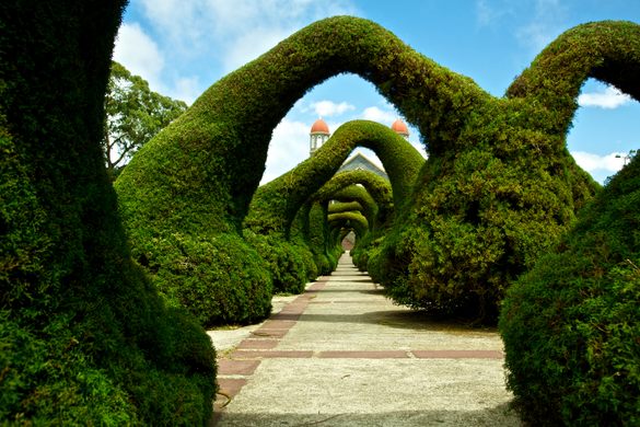 Parque Francisco Alvarado