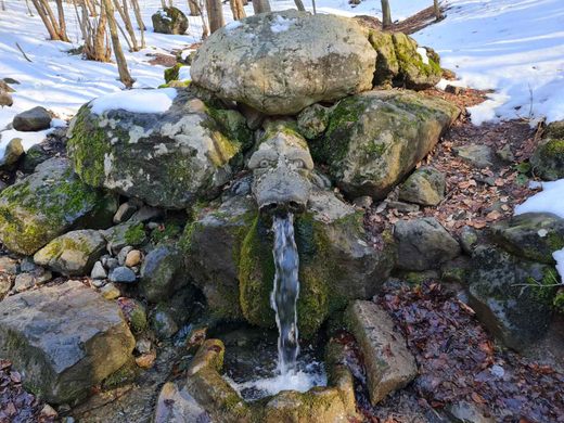 Water of Life Spring