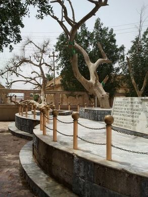 The Tree of Knowledge