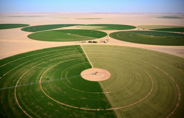 Wadi al-Dawasir