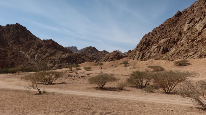 Wadi-e Jinn