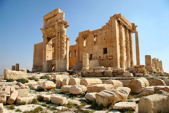 Palmyra