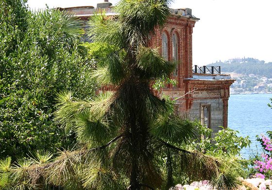 Büyükada