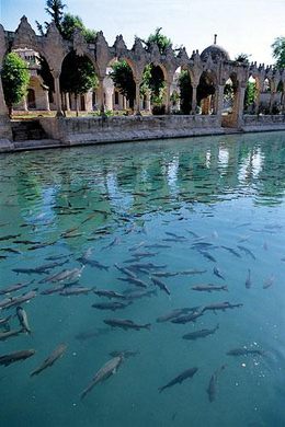 Balıklıgöl