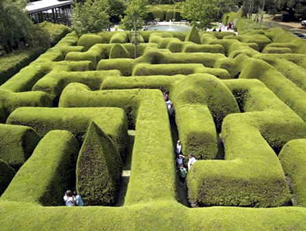 Ashcombe Maze