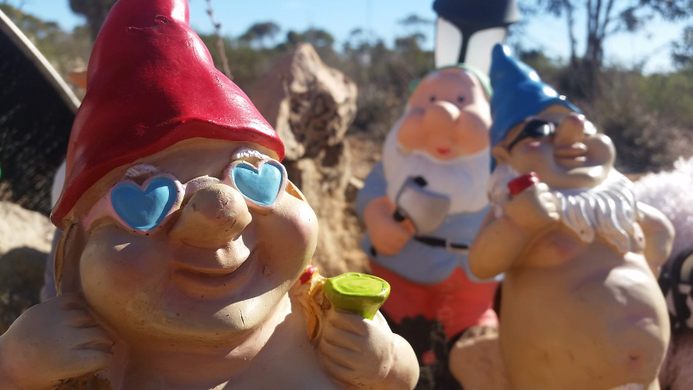 BallaGNOMEia