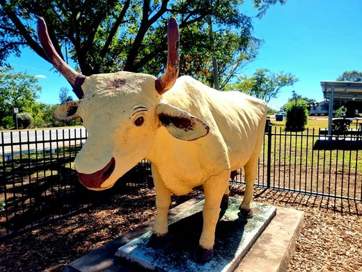 Banana the Bullock