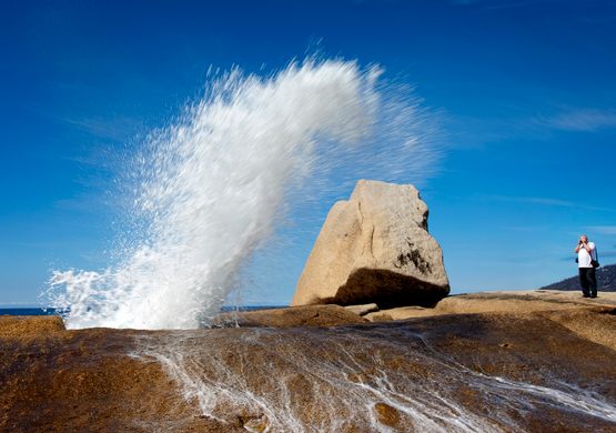 Bicheno Blowhole