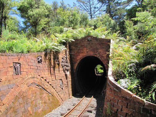 Driving Creek Railway