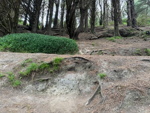 Hobbit Hideaway