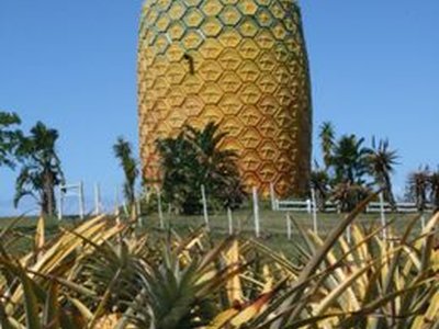 The Big Pineapple