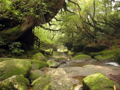 Shiratani Unsuikyo Ravine