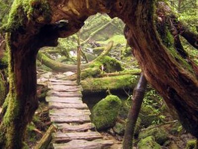 Shiratani Unsuikyo Ravine