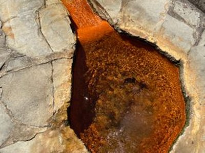 Natural Fizzy Spring
