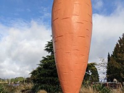 Ohakune Carrot