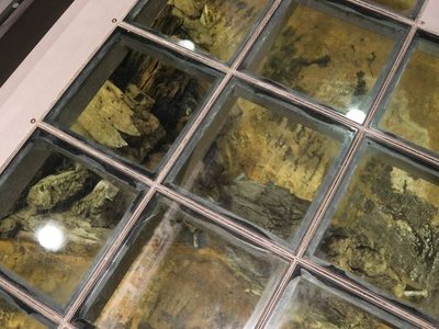 Plimmer's Ark Remains